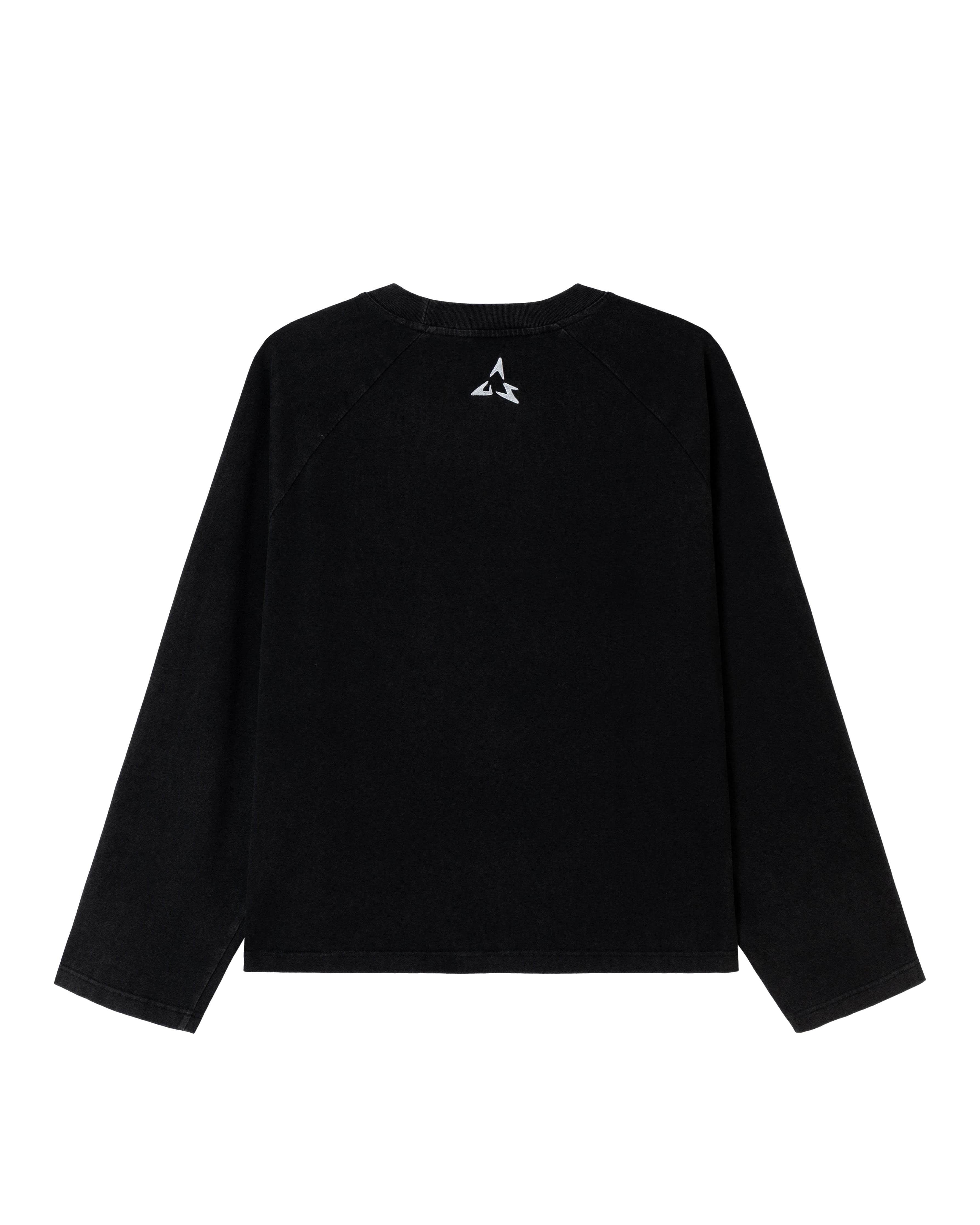 Global Longsleeve (Washed Black)
